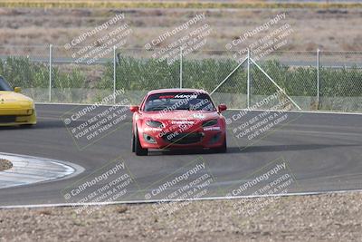 media/Nov-16-2025-CalClub SCCA (Sun) [[2975c16dfc]]/Group 6/Turn 9  and  7/